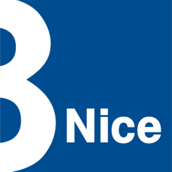 Logo Bnice